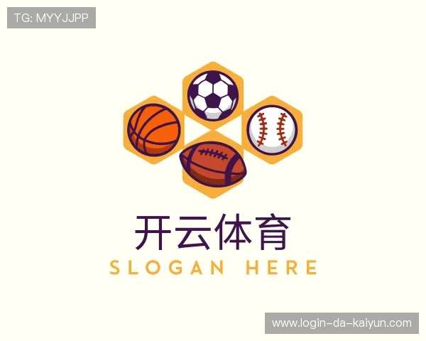 介绍开云集团官网